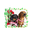 Julie ＆ Kengo 2（個別スタンプ：1）