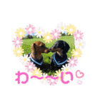Julie ＆ Kengo 2（個別スタンプ：2）