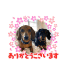 Julie ＆ Kengo 2（個別スタンプ：3）