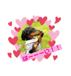 Julie ＆ Kengo 2（個別スタンプ：6）
