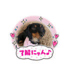 Julie ＆ Kengo 2（個別スタンプ：8）