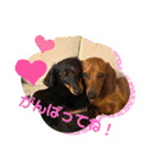 Julie ＆ Kengo 2（個別スタンプ：9）