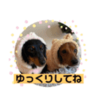 Julie ＆ Kengo 2（個別スタンプ：10）