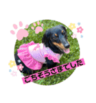 Julie ＆ Kengo 2（個別スタンプ：11）