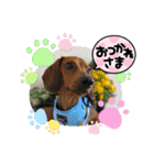 Julie ＆ Kengo 2（個別スタンプ：14）