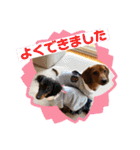 Julie ＆ Kengo 2（個別スタンプ：17）