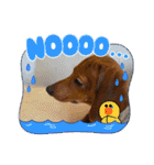 Julie ＆ Kengo 2（個別スタンプ：22）