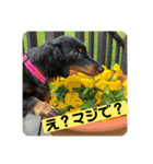 Julie ＆ Kengo 2（個別スタンプ：25）