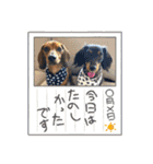 Julie ＆ Kengo 2（個別スタンプ：30）