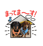Julie ＆ Kengo 2（個別スタンプ：37）