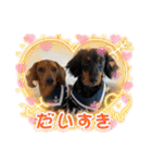 Julie ＆ Kengo 2（個別スタンプ：38）