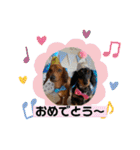 Julie ＆ Kengo 2（個別スタンプ：40）