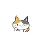 スタンプ 猫 ねこ（個別スタンプ：5）
