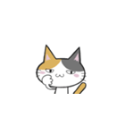 スタンプ 猫 ねこ（個別スタンプ：6）