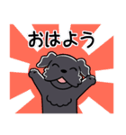 ブラックシュナウザー1（個別スタンプ：4）