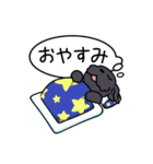 ブラックシュナウザー1（個別スタンプ：6）