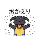 ブラックシュナウザー1（個別スタンプ：15）