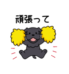 ブラックシュナウザー1（個別スタンプ：27）