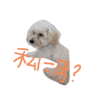 元気なDOG✨Part2（pinky）（個別スタンプ：14）