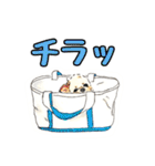 チワシーうりぼうのイラスト（個別スタンプ：8）