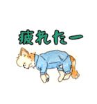 チワシーうりぼうのイラスト（個別スタンプ：26）