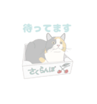 my favorite illustrations of cats（個別スタンプ：2）