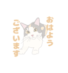 my favorite illustrations of cats（個別スタンプ：4）