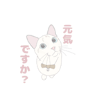 my favorite illustrations of cats（個別スタンプ：6）