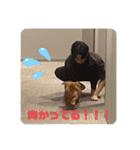 成毛家のビクターくん2（個別スタンプ：7）