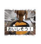 成毛家のビクターくん2（個別スタンプ：9）