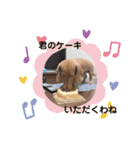 成毛家のビクターくん2（個別スタンプ：17）