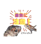 釣魚達からの楽しいメッセージスタンプ2（個別スタンプ：4）