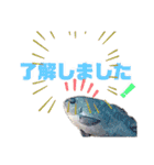 釣魚達からの楽しいメッセージスタンプ2（個別スタンプ：5）