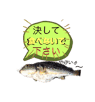 釣魚達からの楽しいメッセージスタンプ2（個別スタンプ：6）