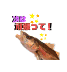 釣魚達からの楽しいメッセージスタンプ2（個別スタンプ：7）