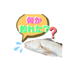 釣魚達からの楽しいメッセージスタンプ2（個別スタンプ：8）