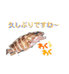釣魚達からの楽しいメッセージスタンプ2（個別スタンプ：12）