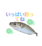 釣魚達からの楽しいメッセージスタンプ2（個別スタンプ：14）