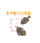 釣魚達からの楽しいメッセージスタンプ2（個別スタンプ：16）