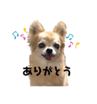 楽しく過ごそう♪（個別スタンプ：3）
