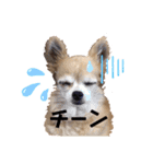楽しく過ごそう♪（個別スタンプ：4）