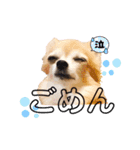 楽しく過ごそう♪（個別スタンプ：7）