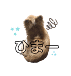 楽しく過ごそう♪（個別スタンプ：11）