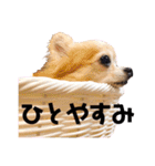 楽しく過ごそう♪（個別スタンプ：14）