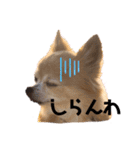 楽しく過ごそう♪（個別スタンプ：16）