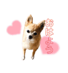 楽しく過ごそう♪（個別スタンプ：19）