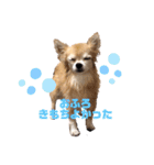 楽しく過ごそう♪（個別スタンプ：20）