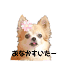 楽しく過ごそう♪（個別スタンプ：21）