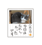 シェリぽんと愉快な仲間たち8（個別スタンプ：30）
