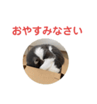 シェリぽんと愉快な仲間たち8（個別スタンプ：39）